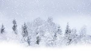 Snowfall Winter Precipitation Http Www Wallpapers4u Org Snowfall Winter Precipitation Snowfall Wallpaper Snow Blizzard Snow Storm