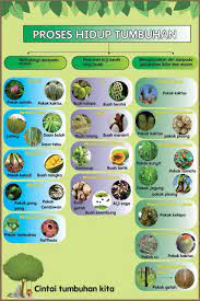 Download nota ringkas sains di sini. Nota Kssr Nota Sains Tahun 5 Facebook