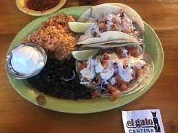 Burlington's downtown food scene offers more than expected. Fish Tacos Picture Of El Gato Cantina Burlington Tripadvisor