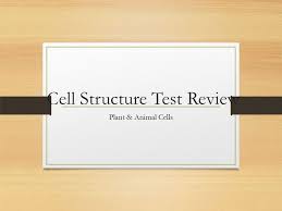 Plant and animal cell structure test. Cell Structure Test Review Ppt Video Online Download