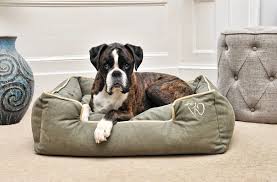 Maybe you would like to learn more about one of these? Large Luxury Dog Beds Accessories Uk Wolfybeds