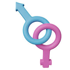 Image result for female sex sign