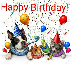 Pin Von Faye Colson Auf Funny Stiff Alles Gute Zum Geburtstag Hund Alles Gute Zum Geburtstag Bilder Alles Gute Zum Geburtstag Karten