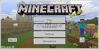Online games make a terrific alternative when you c. How To Join A Multiplayer Server In Minecraft Pe