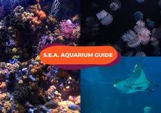 Check spelling or type a new query. Singaporediscovers Vouchers 42 Attractions On Klook You Can Use Your 100 Vouchers Klook Travel Blog