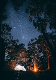 Ports, tours, kids activities & more! 45 Fun Adult Camping Activities Campfire Games