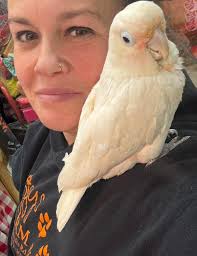 I'm Cromwell!!# It's taken 2 months 2 get acclimated from being adopted!!#  Most of that time was spent under this bed but now, I know I'm HOME!!#