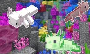 There is a 1⁄3 chance for an axolotl to play dead to recover 4. Axolotls Mod For Minecraft Pe For Android Apk Download