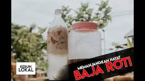 Besi dapat terbentuk menjadi dua bentuk kristal yaitu body center cubic (bcc) dan face center cubic (fcc), tergantung dari tempraturnya ketika ditempa. Video Resepi Baja Roti Expired Boleh Tahan Hampir Setahun Impiana