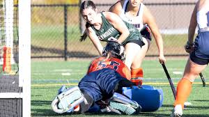 FH: Healey sparks Panthers past WestConn