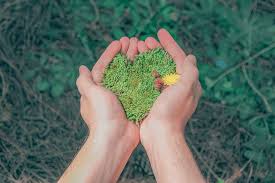 Co-creation in Citizen Science explored in Environmental Epidemiology