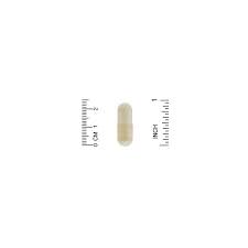 California Gold Nutrition Gold C فيتامين جـ 1000 ملجم 240 كبسولة نباتية In 2020 Veggie Capsule California Gold Capsule