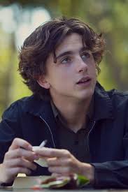 Timothée chalamet is an american actor who's made a splash with films like 'lady bird' and 'call me by your name.' timothée chalamet (born december 27, 1995) received an academy award. Timothee Chalamet The Actor S 10 Best Roles Vogue Paris