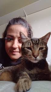 Introduction of a cat named Bowie in a feline enthusiast group