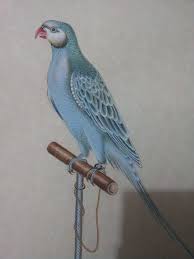 Ozcan Ozcan Hayvan Sanat Hayvanlar