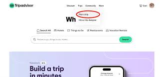 How to use Tripadvisors AI-powered assistant to plan your trips | Mashable