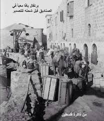 برتقال يافا معد للتصدير في صناديق يافا فلسطين Orange Of Jaffa Prepared To Be Exported In Boxes Jaffa Yafa Palestine History History Pictures Old Photos