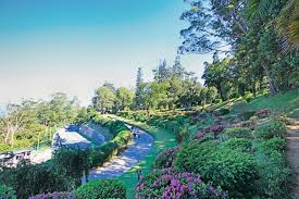 A visit to the scented garden: Hakgala Botanical Garden Things To Do In Nuwara Eliya Sri Lanka