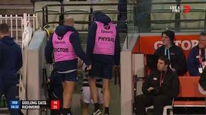 Geelong cats captain joel selwood is the. Bad News For Geelong With Cam Guthrie Done For The Night Triple M