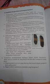 Kunci jawaban buku paket ipa kelas 8 semester 1. Kunci Jawaban Buku Paket Ipa Kelas 8 Hal 149 Kumpulan Soal