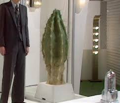 Generally it has thorns or spines. Meglos The Doctor Who Group