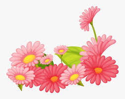 However, small white daisies are the best modern symbol of pur Transparent Pink Daisy Png Png Download Kindpng