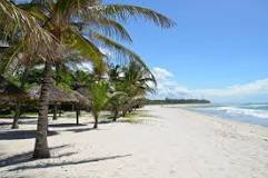 Image result for Diani Beach