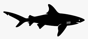 Transparent Png Shark Transparent Background Shark Clipart Png Download Kindpng 86,000+ vectors, stock photos & psd files. transparent background shark clipart