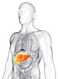 Bagaimana pencegahan penyakit hepatitis a dan pengobatan penyakit hepatitis a? Apakah Itu Hepatitis A Positive Parenting