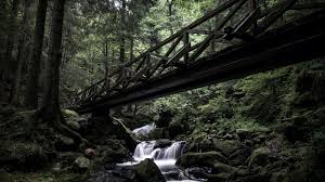 At nimmo bay you define what it means to be brave. Q6 Aocawsnjgcm