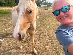 Where do I start training to be a horse trainer?