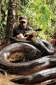 Peta Blasts Discovery S Eaten Alive Over Inexcusable Torment Of Anaconda The Hollywood Reporter