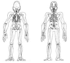 The Art Of Oddworld Inhabitants The First Ten Years Oddworld Munch S Oddysee Concept Art Abe S Oddysee Oddworld Inhabitants