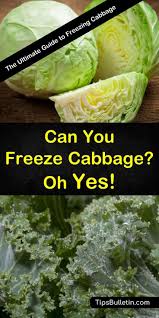 We did not find results for: 2 Simple Ways To Freeze Cabbage Freeze Cabbage Freezing Cabbage Can You Freeze Cabbage