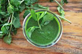 484 mint chutney شتني صلصة النعناع cooking classes for kids chutney cooking