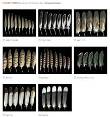 Fish and wildlife service forensics laboratory, the only lab in the world devoted to crimes against wildlife. How To Id A Feather The Infinite Spider