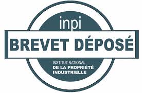 Jusqu'en 1995, l'enregistrement d'un nom de domaine. Faut Il Deposer Sa Marque Au Nom De L Entreprise Ou Au Sien
