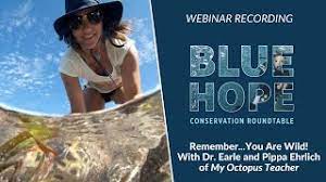 Freelance conservation journalist and filmmaker with @seachangeproject. Dr Sylvia Earle Talks With Pippa Ehrlich My Octopus Teacher Co Director Youtube
