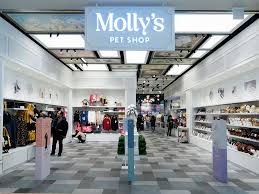 View location, address, reviews and opening hours. Molly S Pet Shop Shopping In Seoul