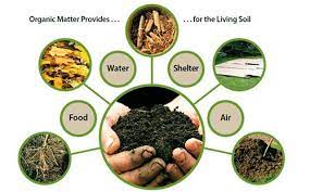 Soil Organic Matter From The Organic Fertilizer Organic Fertilizer Organic Matter Soil
