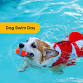 Pooch Pool Party presented by FLUFF Animal Rescue event image