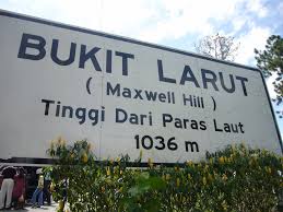 Lokasi zoo taiping terletak di kawasan semulajadi taman tasik taiping berhampiran dengan kaki bukit larut. Bukit Larut Perak 2 Villa Wardah Homestay