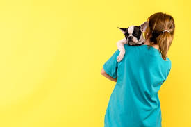 Check spelling or type a new query. Imagenes De Veterinaria Vectores Fotos De Stock Y Psd Gratuitos