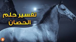 تفسير حلم الحصان ما معنى رؤية الحصان في المنام سلسلة تفسير الأحلام Youtube