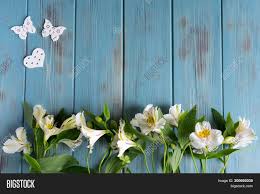 Teal wood background with flowers. Background Text Banner Image Photo Free Trial Bigstock