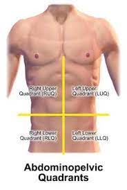 The division into four quadrants allows the localisation of pain and tenderness, scars, lumps, and other items of interest, narrowing in on which organs and tissues may be involved. Right Upper Abdominal Pain Right Upper Quadrant Patient