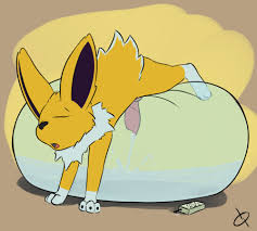 Pokemon sleep jolteon