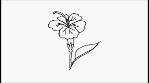 Alekhan Hibiscus Flower For Alekhan Design Youtube Drawing flower art colouredpencils traditionalart. alekhan hibiscus flower for alekhan design