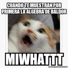 Entdecke rezepte, einrichtungsideen, stilinterpretationen und andere ideen zum ausprobieren. Meme Personalizado Cuando Te Muestran Por Primera La Algebra De Baldor Miwhattt 31574098