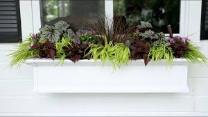 There are several benefits to adding a window box flower garden to your shady landscape.although you may initially feel disappointment at the inability to grow such window box favorites as marigolds and verbena, there are a number of flowers that would scorch and wither away in a sunny container.your shady window box won't dry out as fast as one in full sun. More Ideas For A Window Box In The Shade Youtube